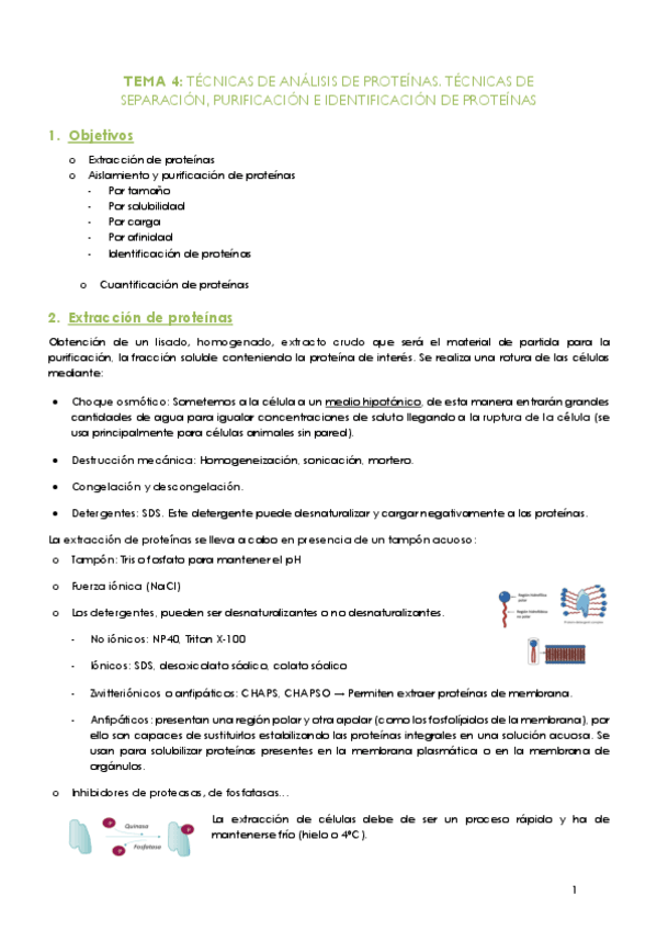 Miniatura del documento Tema-4-Bioquimica.pdf
