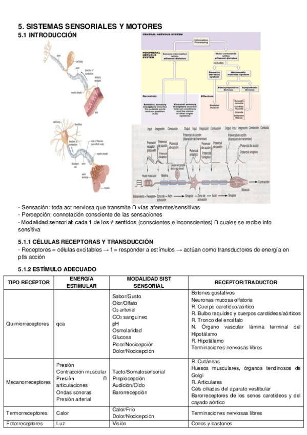 Miniatura del documento TEMA-5.pdf