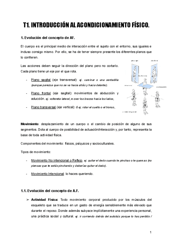 Miniatura del documento T1-A.F..pdf