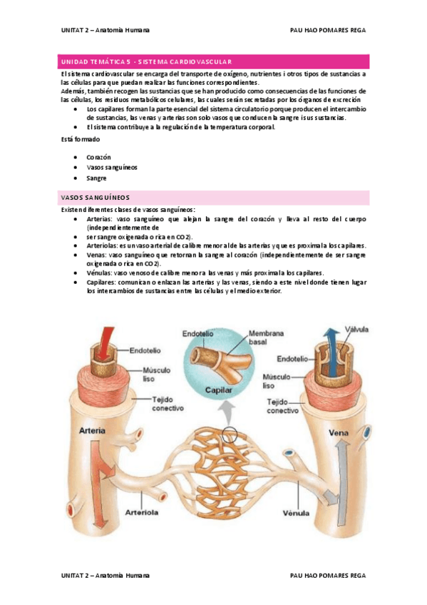 Miniatura del documento SCV.pdf