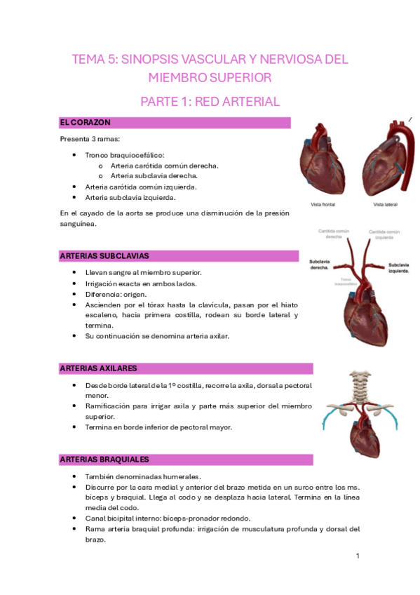 Miniatura del documento TEMA-5.pdf