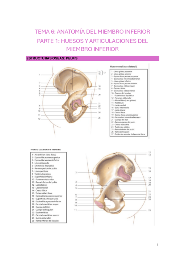 Miniatura del documento TEMA-6.pdf