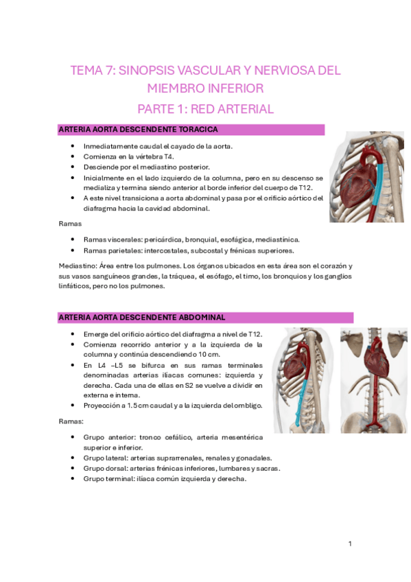Miniatura del documento TEMA-7.pdf