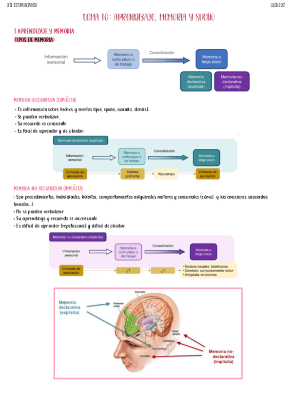 Miniatura del documento tema-10-nervioso.pdf