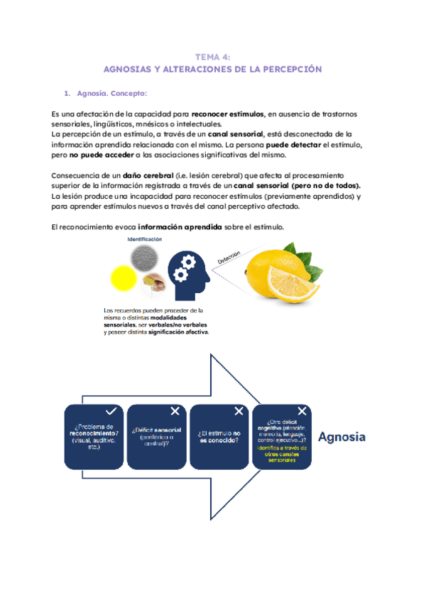 Miniatura del documento TEMA-4-NEURO.pdf