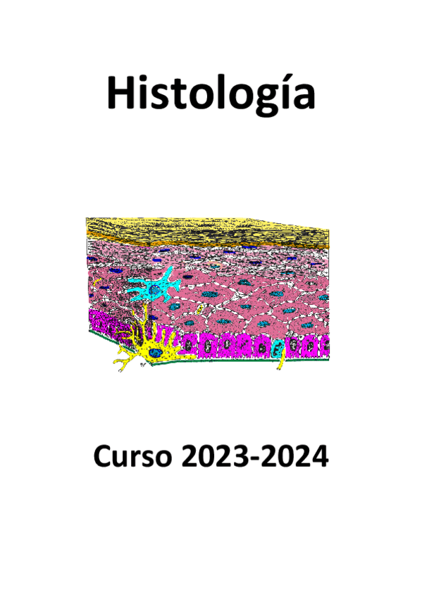 Miniatura del documento Apuntes-definitivos.pdf