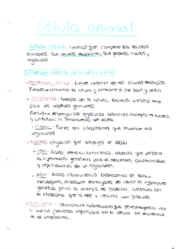 Miniatura del documento apuntes-veterinaria.pdf