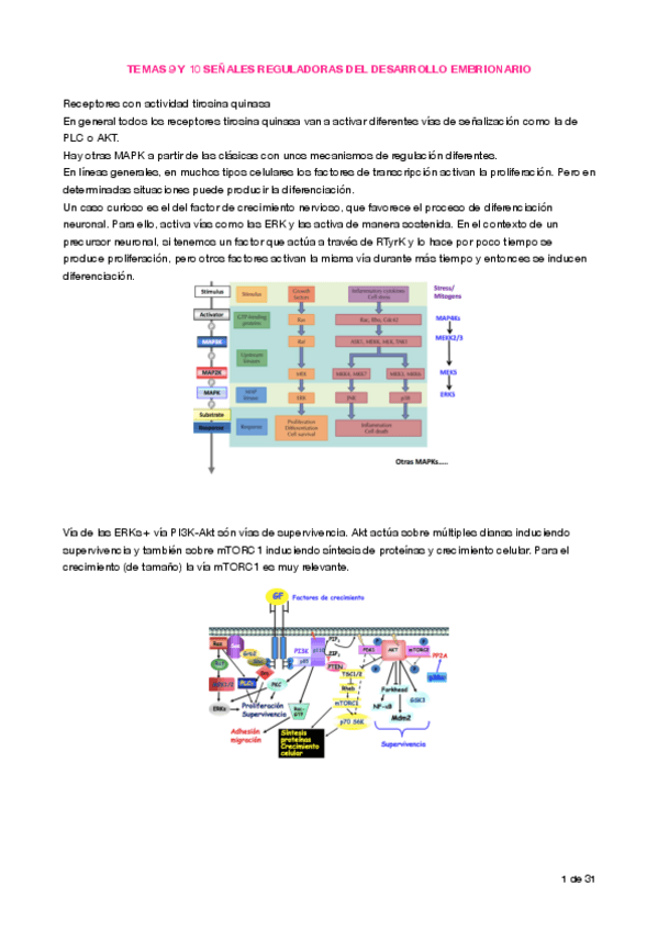 Miniatura del documento Apuntes T9- 10, 11 HGF, TGFß, EMT.pdf