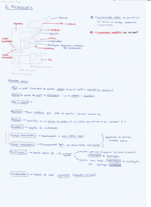 Miniatura del documento Microscopi-Resum.pdf