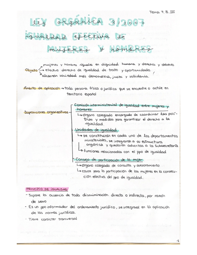 Miniatura del documento Ley-organica-32007-igualdad-de-mujeres-y-hombres.pdf
