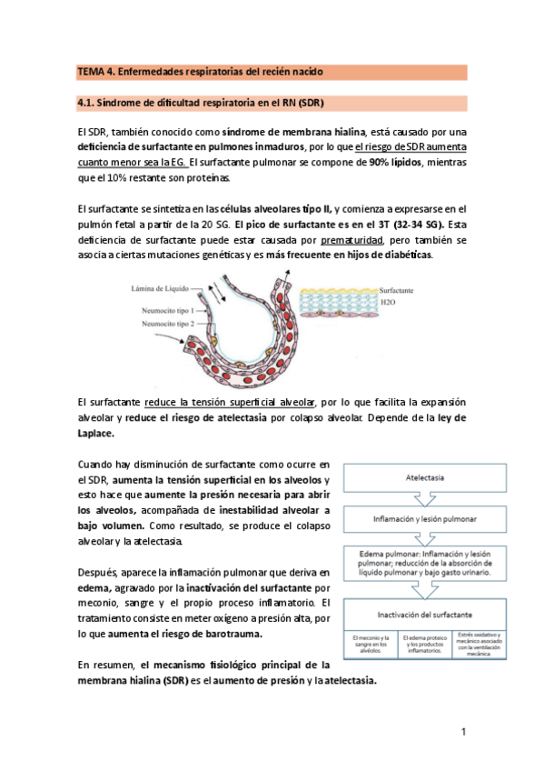 Miniatura del documento TEMA-4.1.-EnfRespiratoriaRNdocx.pdf