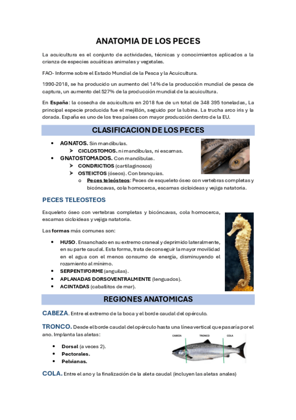 Miniatura del documento 22.-ANATOMIA-DE-PECES.pdf