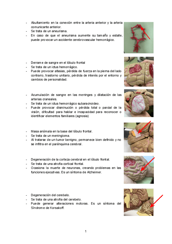 Miniatura del documento Maquetas-Neuropsicologia.pdf