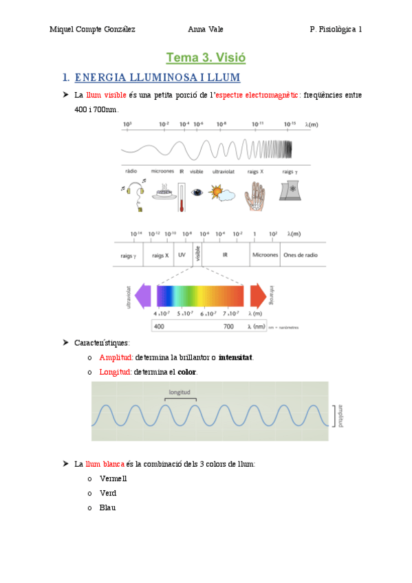 Miniatura del documento TEMA 3. Visió .pdf