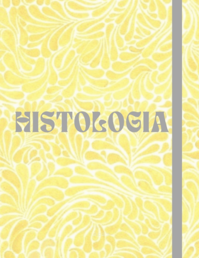 Miniatura del documento Tema-2-tejido-epitelial.pdf