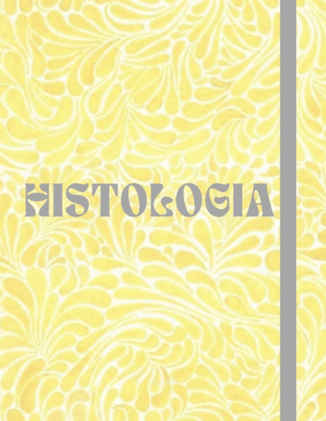 Miniatura del documento Tema-3-Epitelio-Conjuntivo.pdf