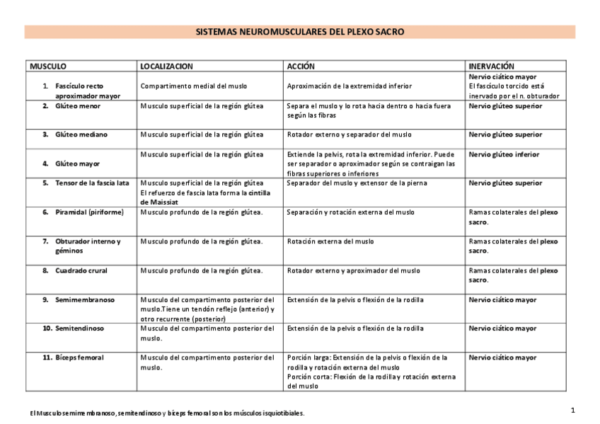 Miniatura del documento Cuadro resumen SN Plexo sacro y Nervio ciático poplíteo externo y externo.pdf