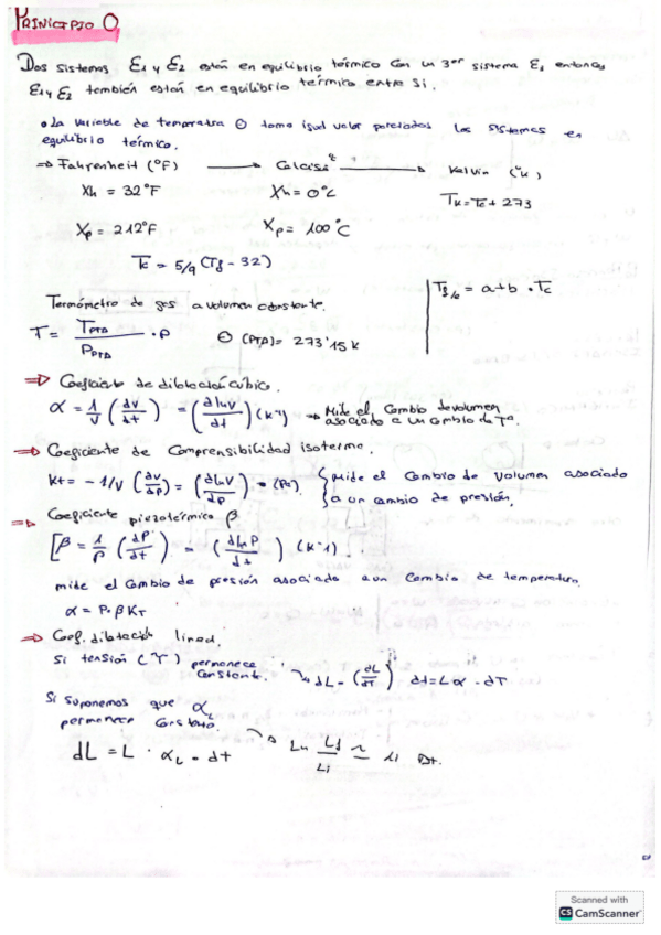 Miniatura del documento Pincipio0formolario.pdf