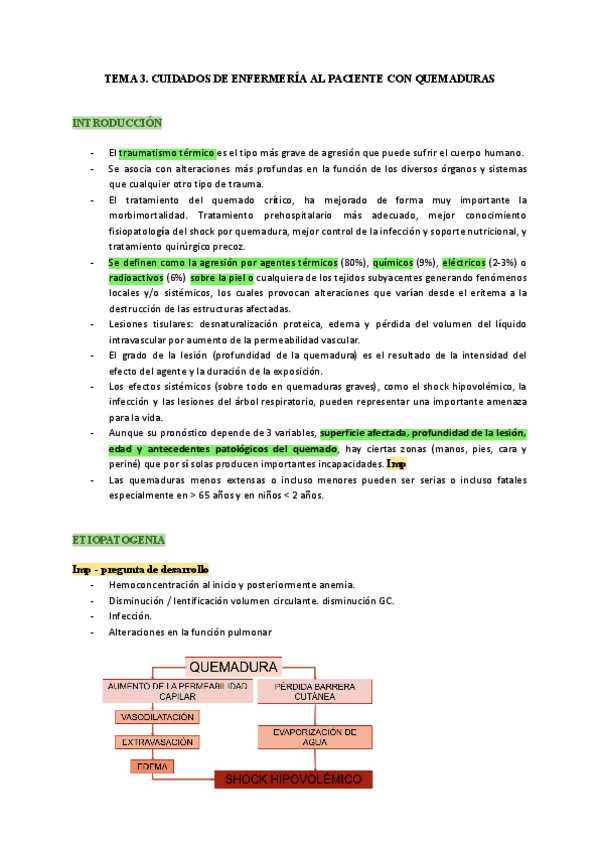 Miniatura del documento TEMA-3.-CUIDADOS-DE-ENFERMERIA-AL-PACIENTE-CON-QUEMADURAS.pdf