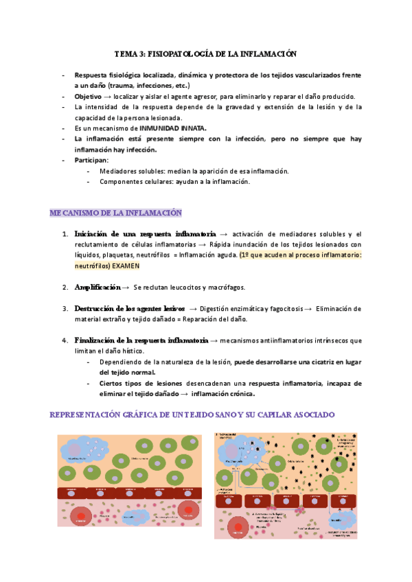 Miniatura del documento TEMA-3-FISIOPATOLOGIA-DE-LA-INFLAMACION.pdf