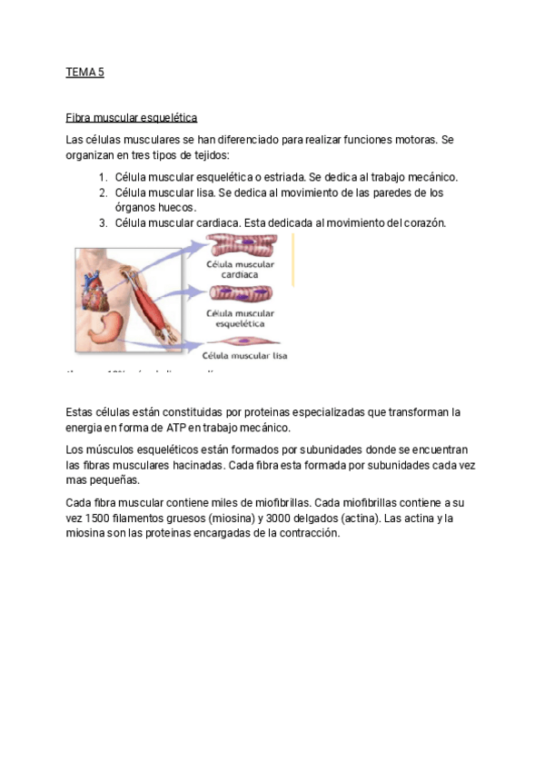 Miniatura del documento RESUMEN-BIOQUIMCA-TEMA-5.pdf
