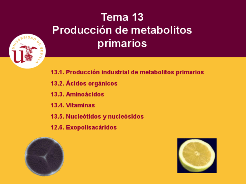 Miniatura del documento Tema-13.-Metabolitos-primarios-extendido.pdf