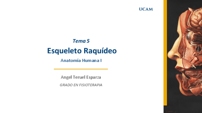 Miniatura del documento Tema-5-osteologia-raquis-anat-note.pdf