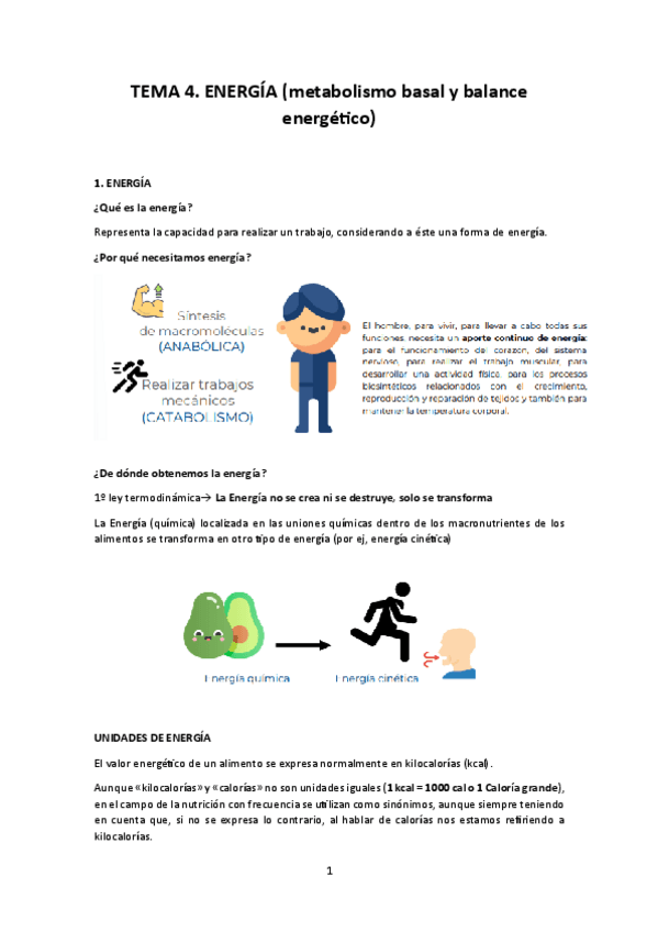 Miniatura del documento TEMA-4.pdf