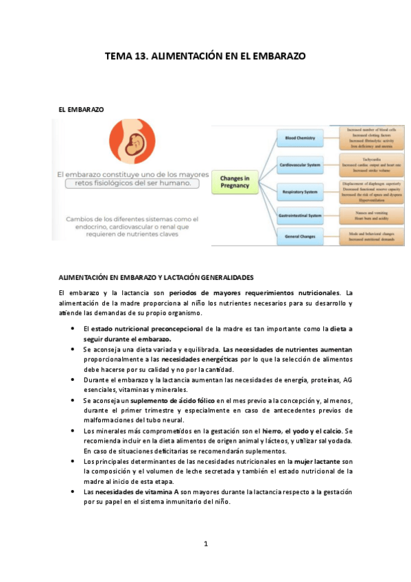 Miniatura del documento TEMA-13.pdf