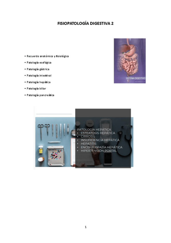 Miniatura del documento FISIOPATOLOGIA-DIGESTIVA-2.pdf
