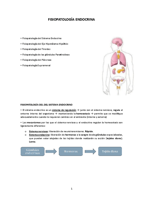 Miniatura del documento FISIOPATOLOGIA-ENDOCRINA.pdf