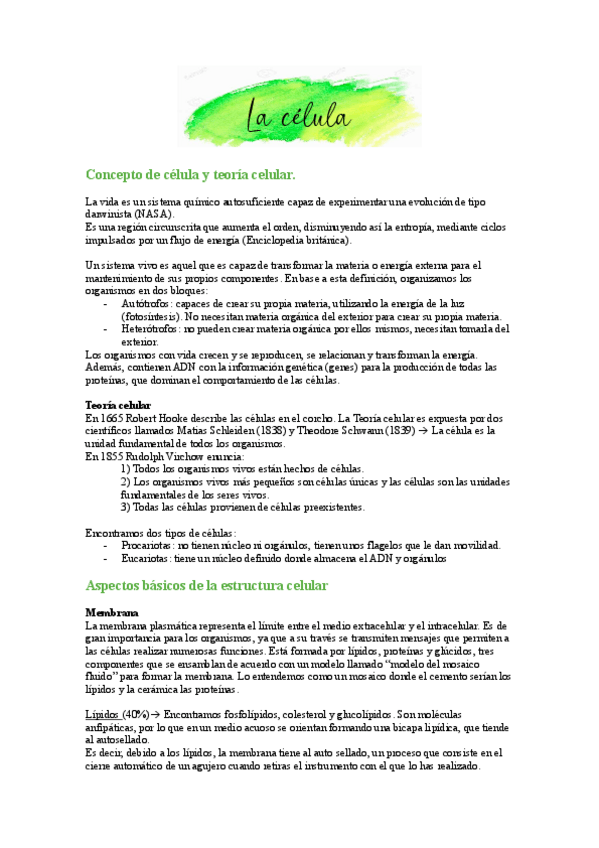 Miniatura del documento T2-La-celula.pdf