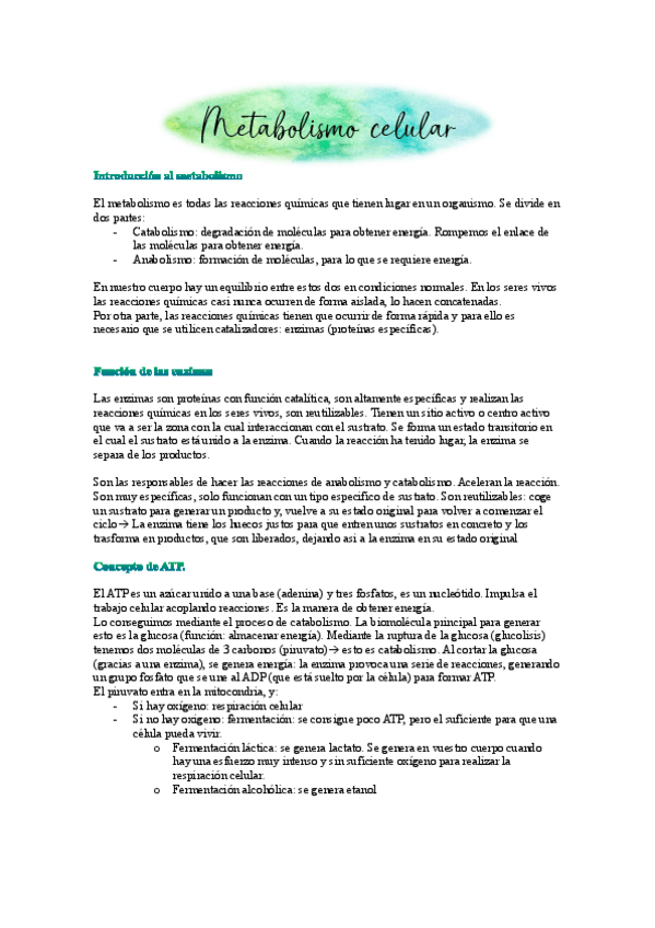 Miniatura del documento T3-Metabolismo-celular.pdf