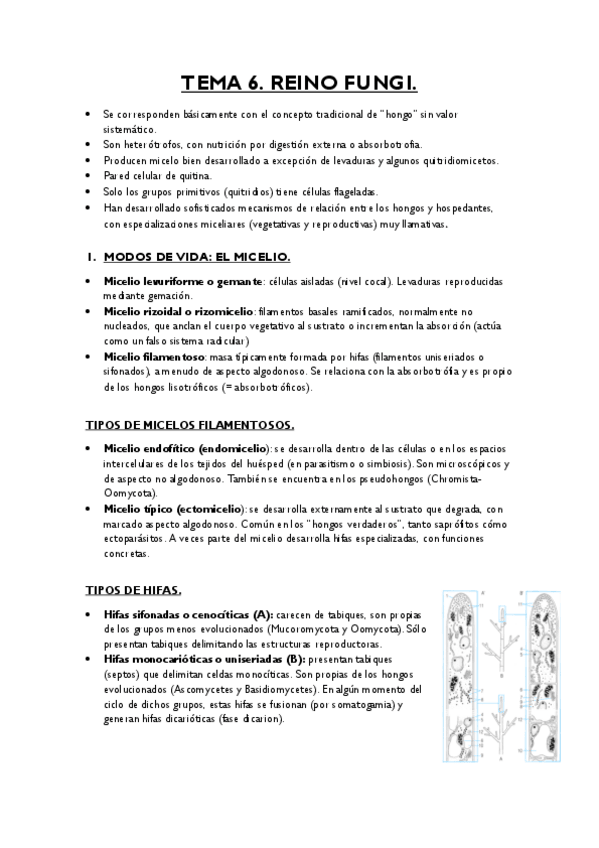 Miniatura del documento TEMA-6.pdf