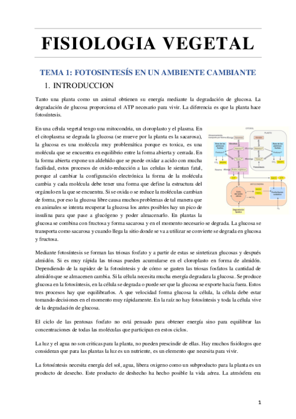 Miniatura del documento Apuntes-fisiologia-vegetal-avanzada.pdf