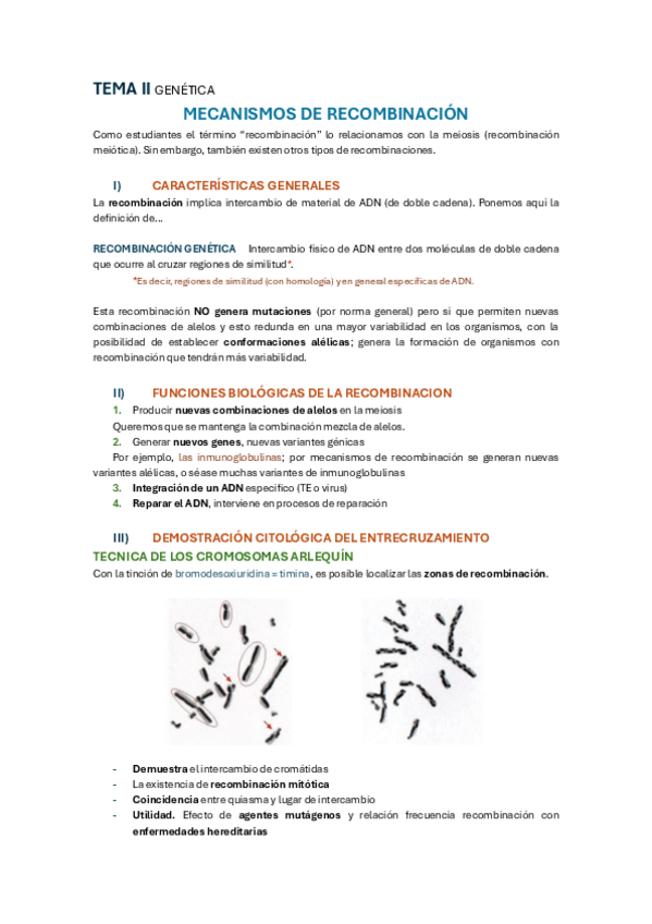 Miniatura del documento TEMA-2-GENMOL.pdf
