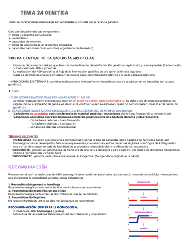 Miniatura del documento Tema-2.4.pdf