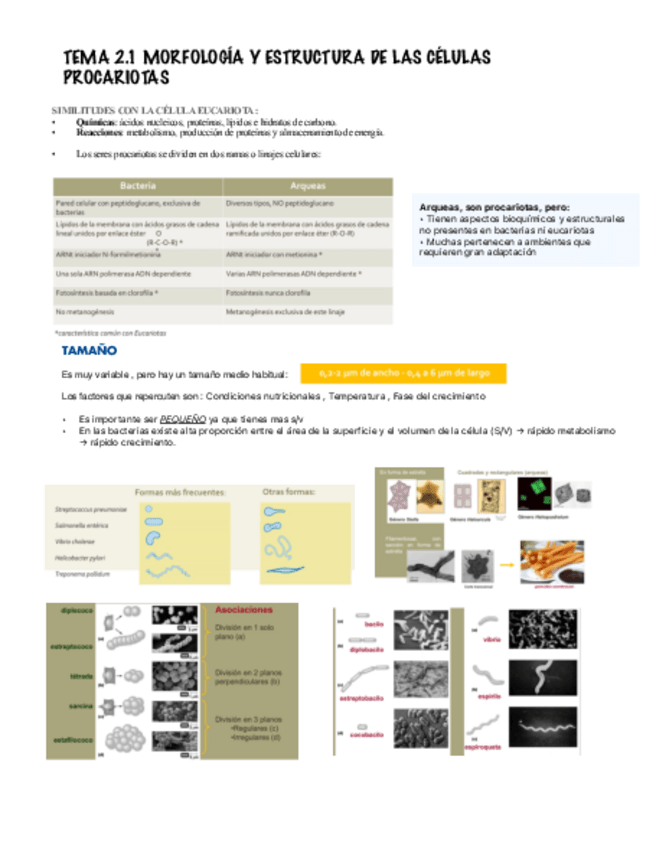 Miniatura del documento Tema-2.1.pdf