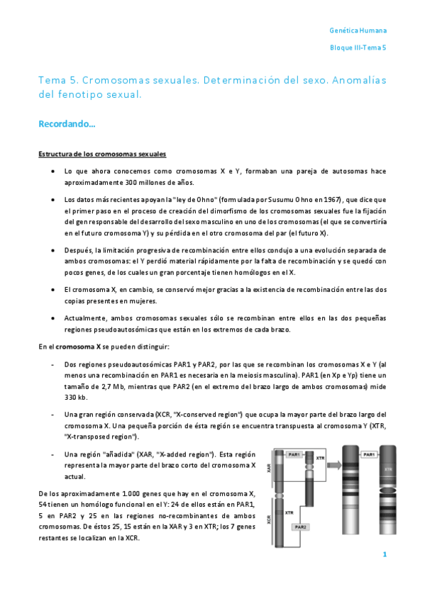 Miniatura del documento Tema 5. Cromosomas sexuales.pdf