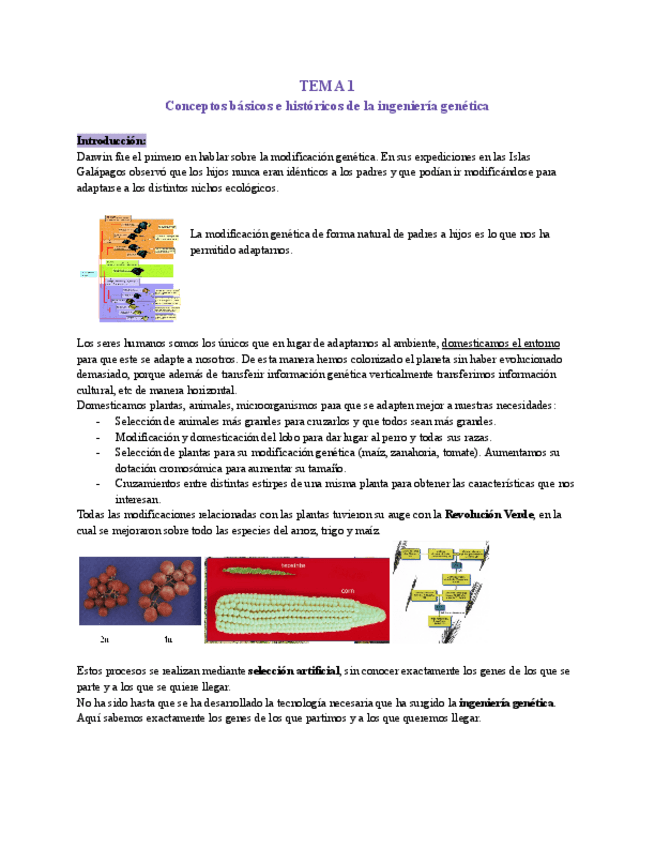 Miniatura del documento Ingenieria-Genetica-Tema-1-Curso-202425.pdf