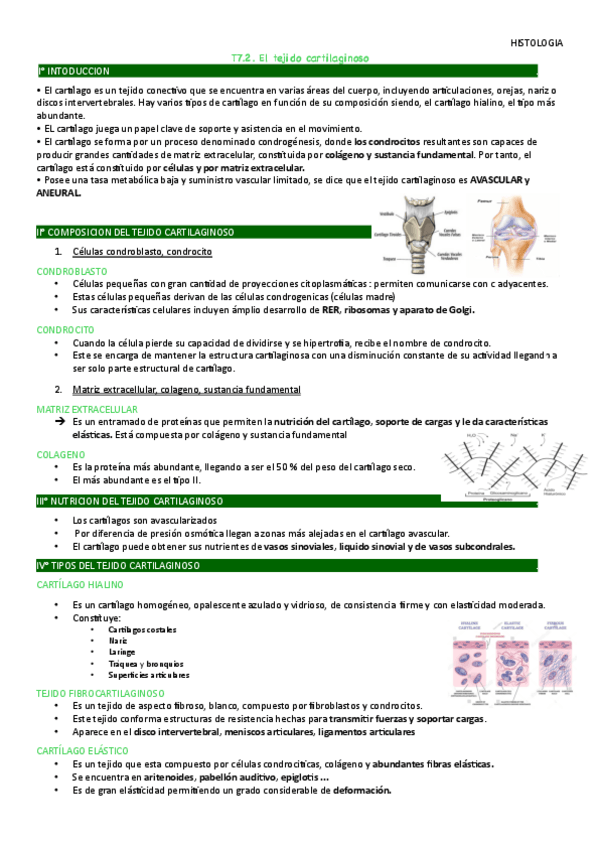Miniatura del documento 7.2-Histo.pdf