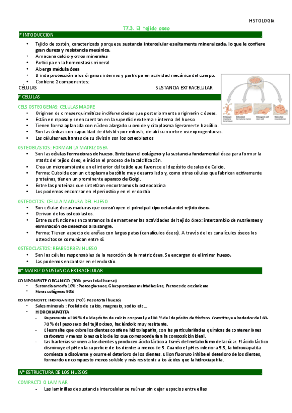 Miniatura del documento 7.3-Histo.pdf