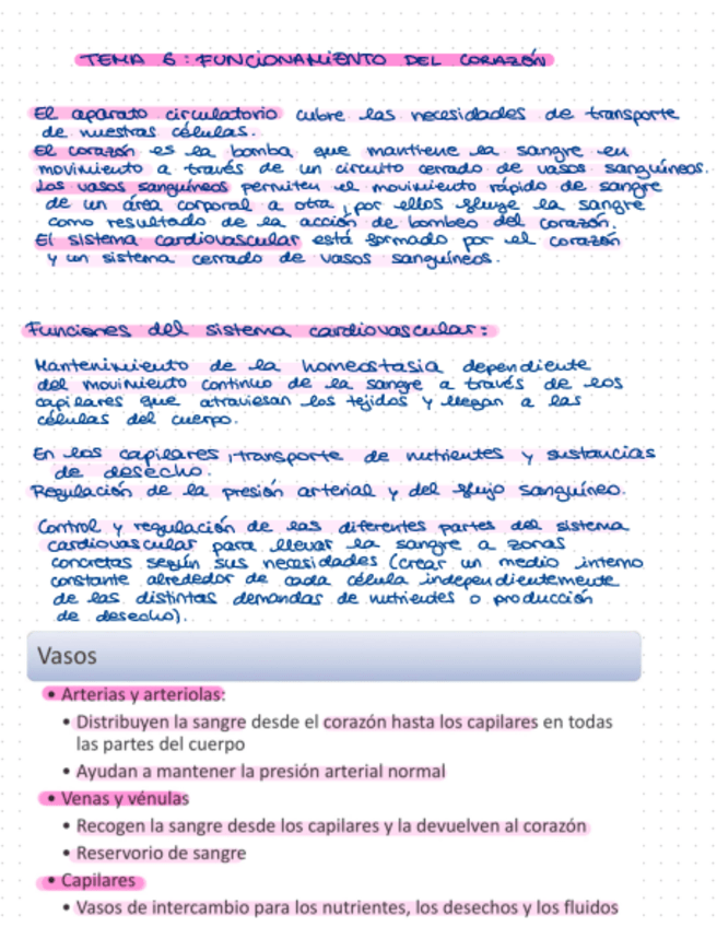 Miniatura del documento Tema-6.pdf