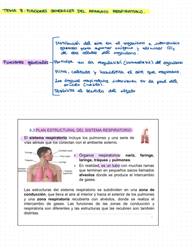 Miniatura del documento Tema-8-Resumen.pdf