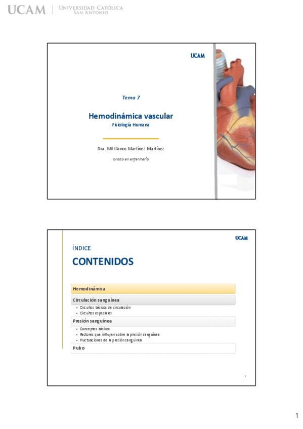 Miniatura del documento Tema-7-Apuntes.pdf
