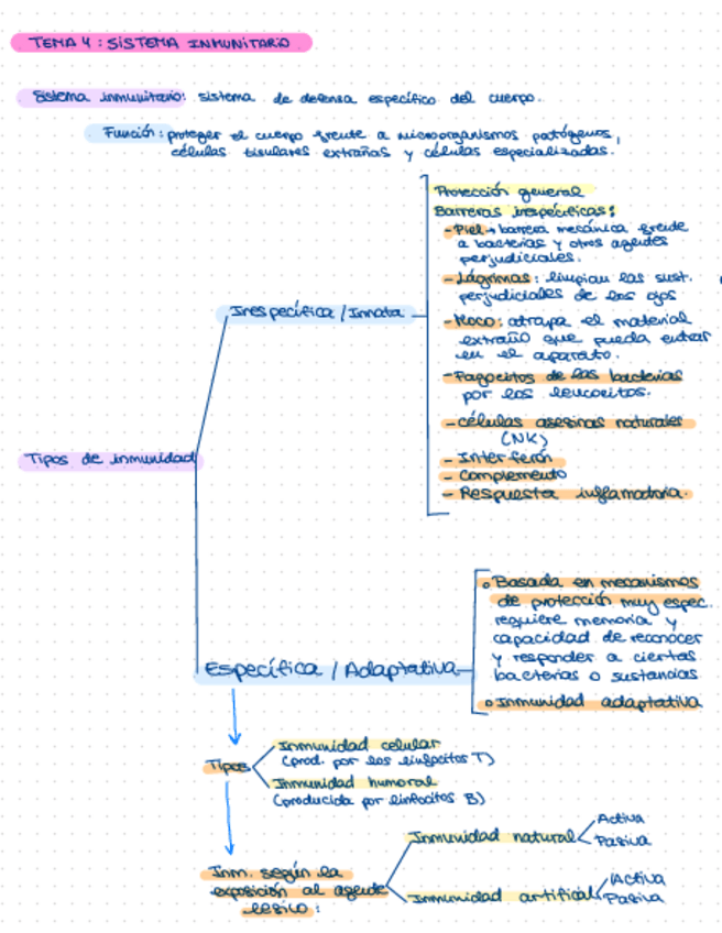 Miniatura del documento Tema-4-resumen.pdf