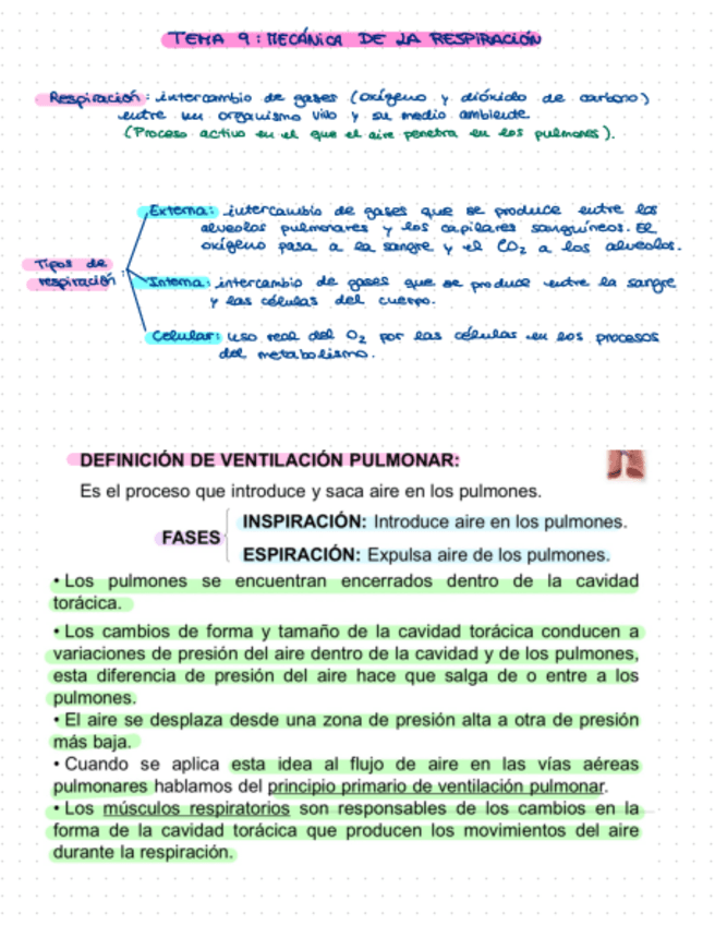 Miniatura del documento Tema-9-Resumen.pdf