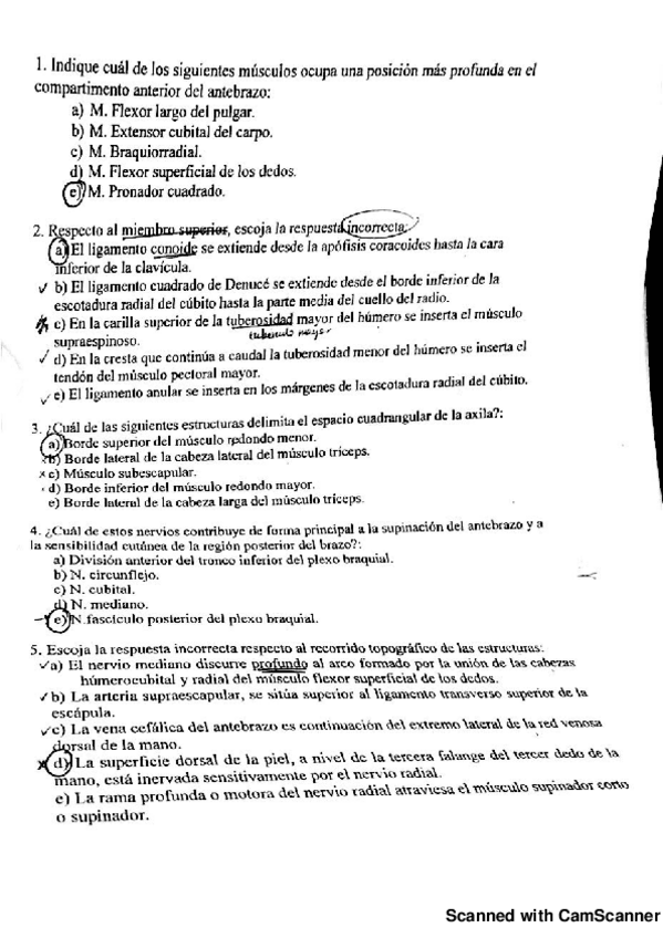 Miniatura del documento Examen-preguntas-test.pdf