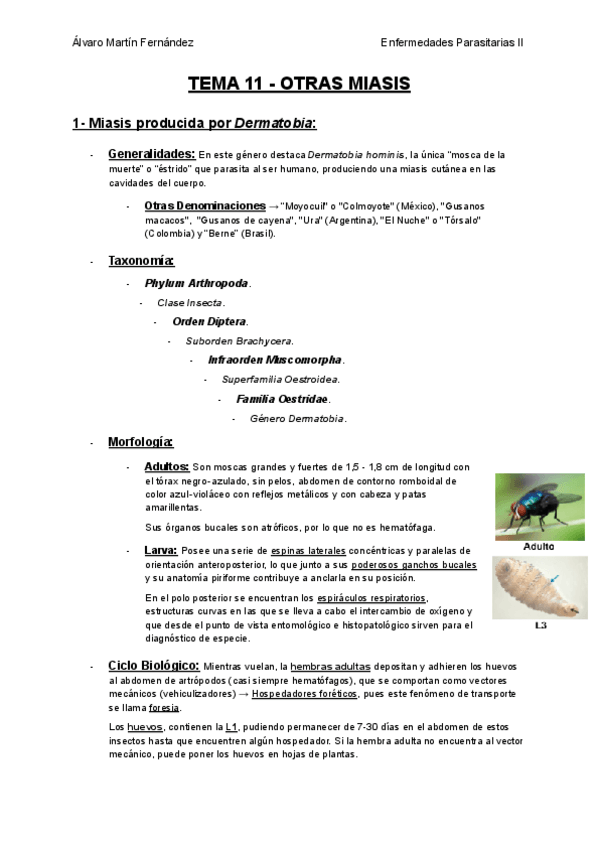 Miniatura del documento TEMA-11-OTRAS-MIASIS.pdf