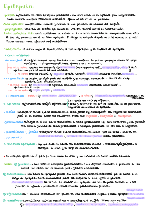 Miniatura del documento 2.5-Epilepsia.pdf